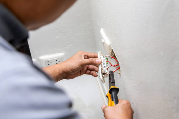 Best Affordable Electrician  in Fruita, CO