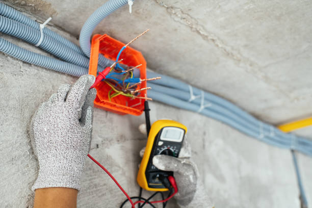 Best Electrical Upgrades for Homes  in Fruita, CO